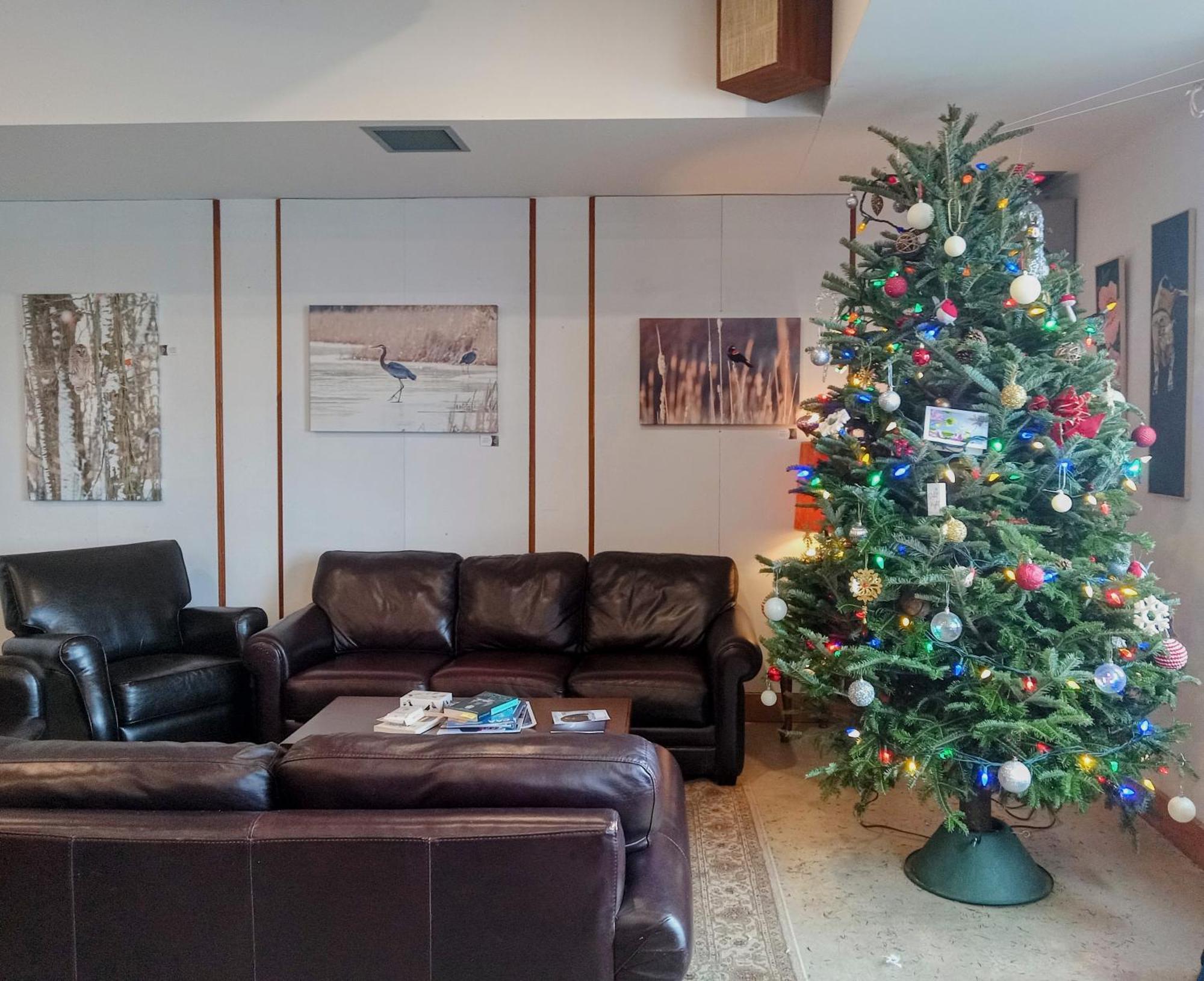 Hotel Wolfe Island Marysville エクステリア 写真